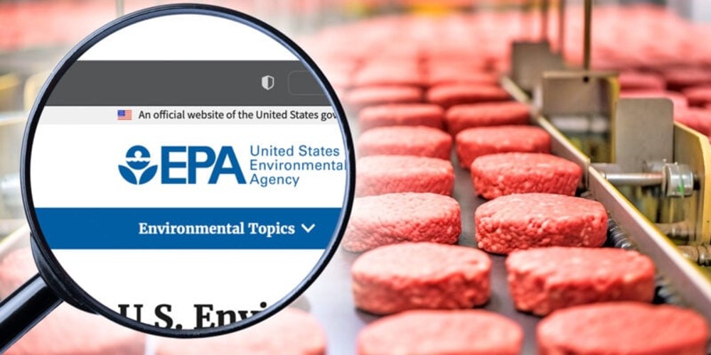 EPA Beef